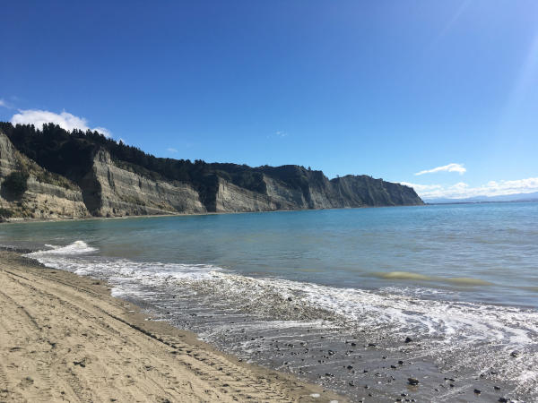 White cliffs at Napier