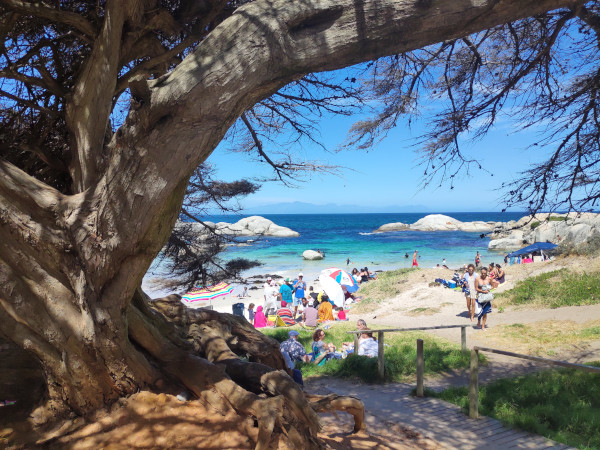 Boulders Beach